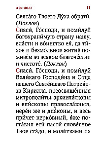 Pomianek. O żywych i zmarłych. Duża czcionka (Srebrna seria)