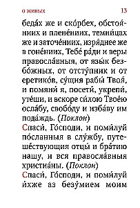 Pomianek. O żywych i zmarłych. Duża czcionka (Srebrna seria)