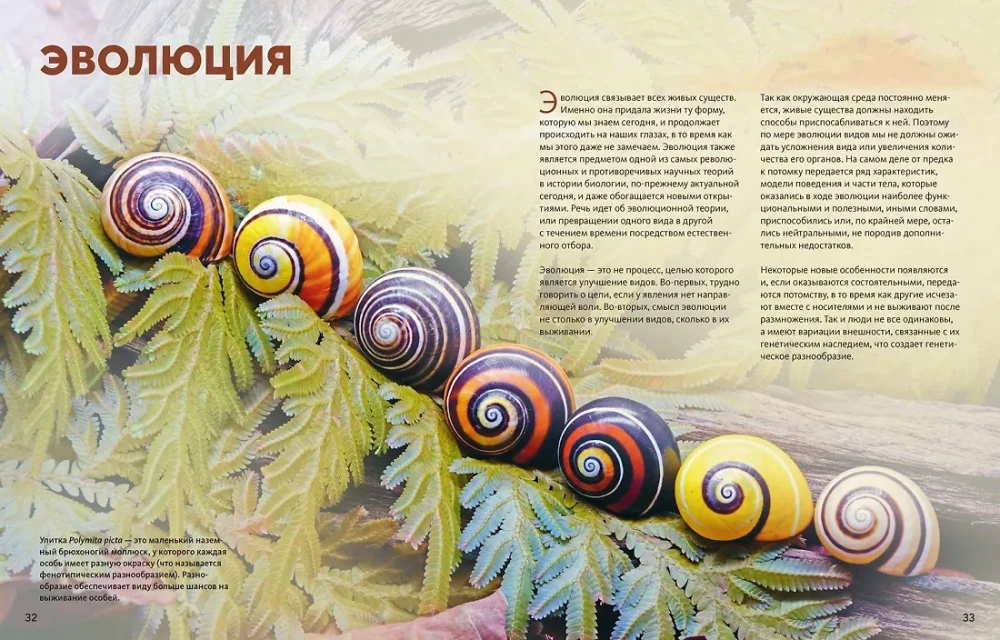 Огромная энциклопедия животных мира