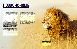 Огромная энциклопедия животных мира