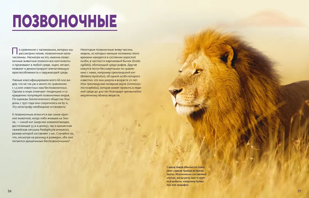 Огромная энциклопедия животных мира