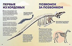 Огромная энциклопедия животных мира