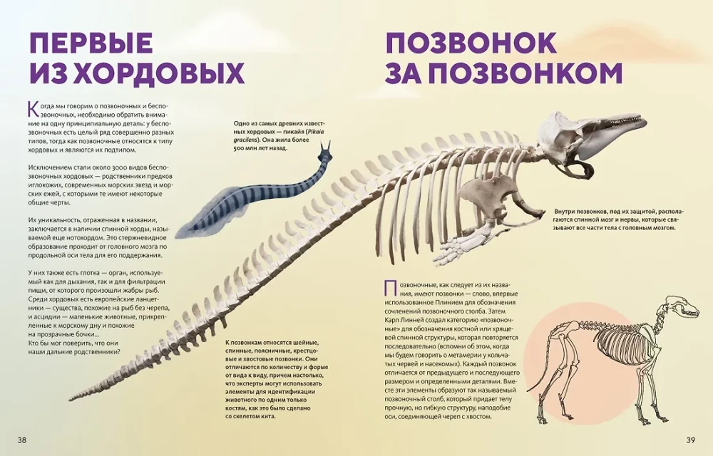 Огромная энциклопедия животных мира