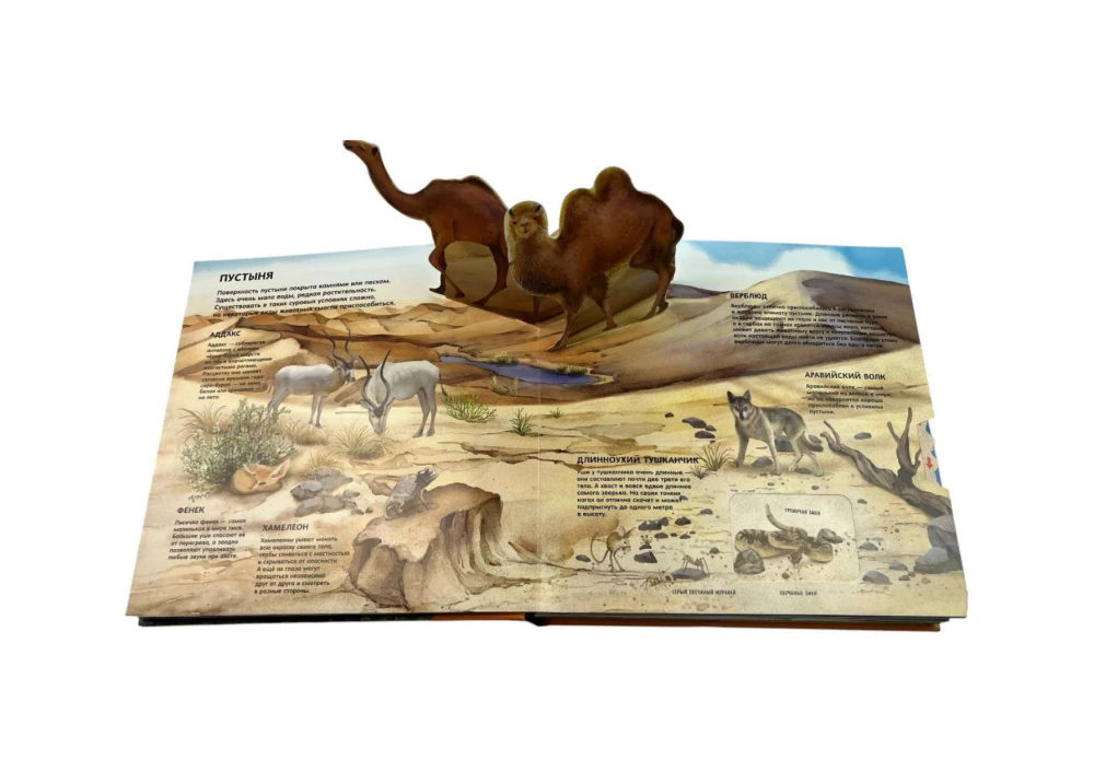 Animals. Large Illustrated 3D Encyclopedia