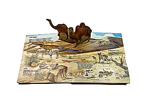Animals. Large Illustrated 3D Encyclopedia