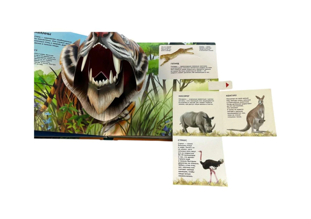 Animals. Large Illustrated 3D Encyclopedia