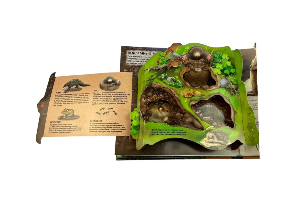 Animals. Large Illustrated 3D Encyclopedia