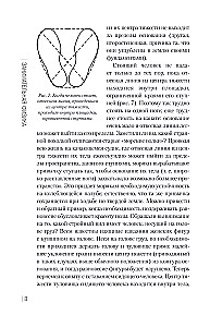 Exciting Experiments and Problems in Physics