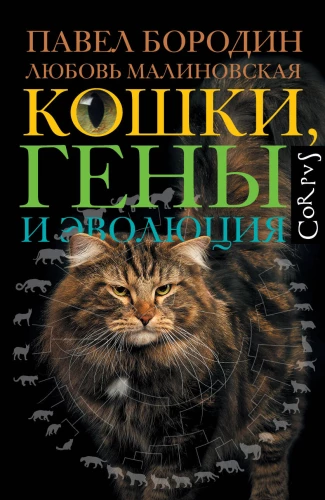 Cats, Genes, and Evolution