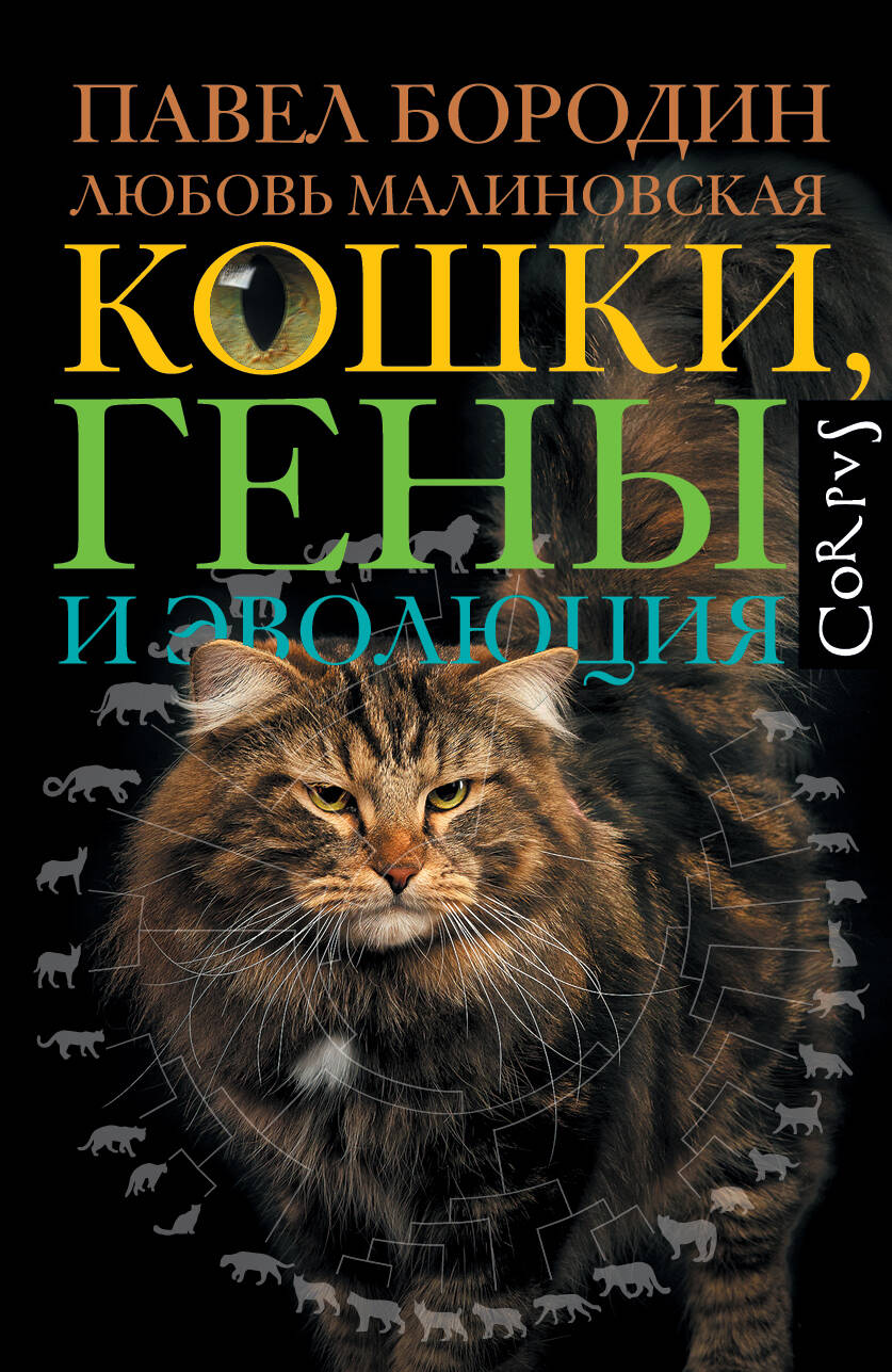 Cats, Genes, and Evolution