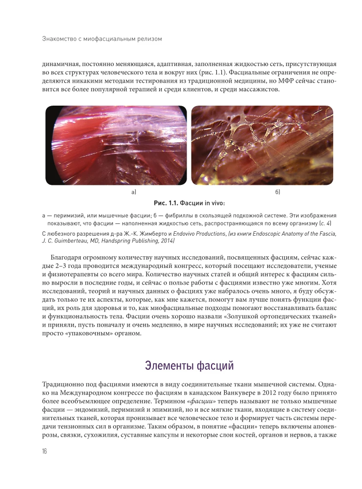 Myofascial Release. Treatment of Fascial Dysfunctions, Soft Tissue Mobilization, Working with Scars and Adhesions