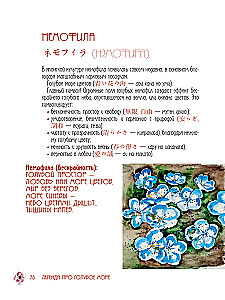 Japanische Aquarell. Die Kunst der Leichtigkeit