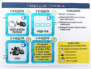 Настольная игра - Плавники