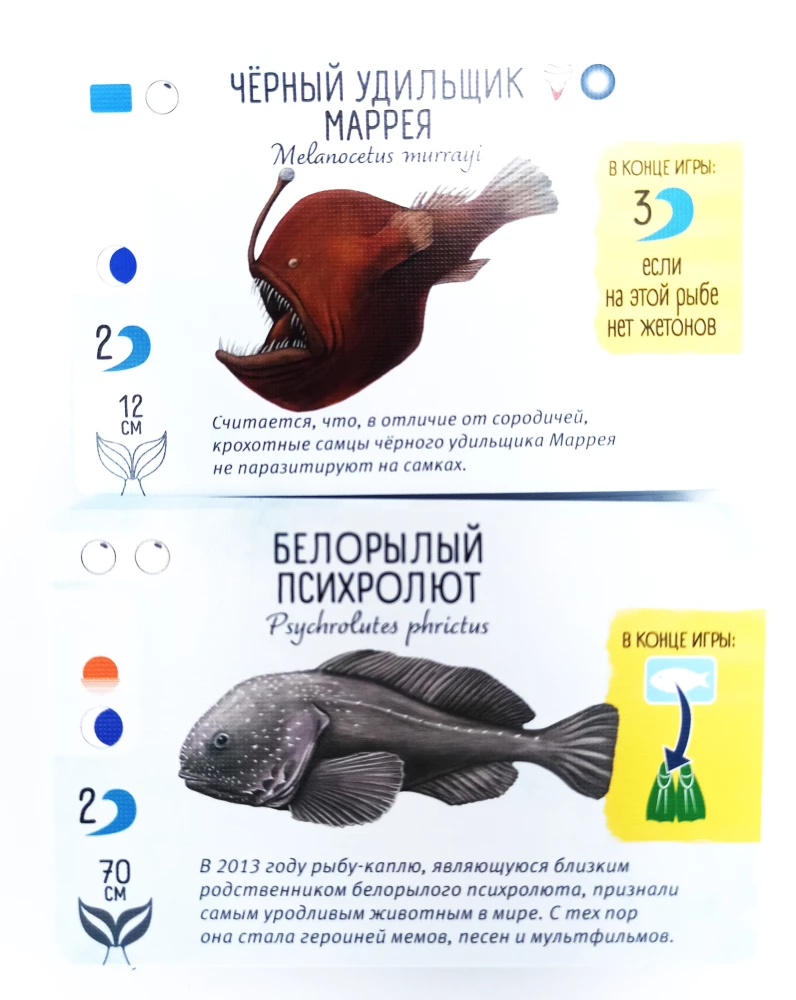 Настольная игра - Плавники