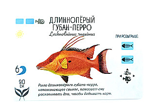 Настольная игра - Плавники