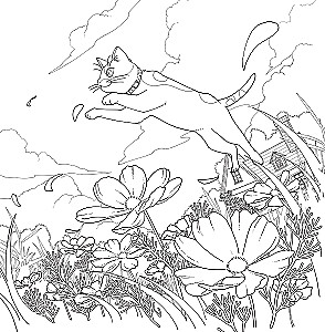 Flower Dream of the Cat Sora