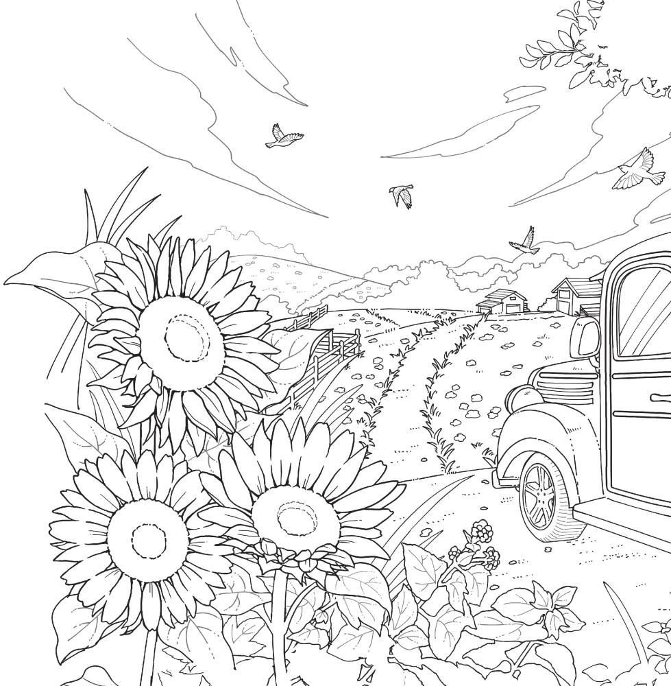 Flower Dream of the Cat Sora
