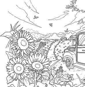 Flower Dream of the Cat Sora