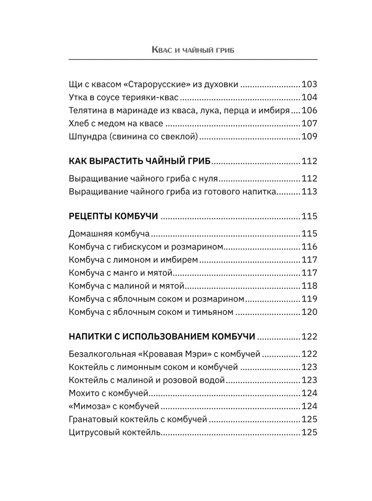 Квас и чайный гриб. Рецепты