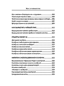 Квас и чайный гриб. Рецепты