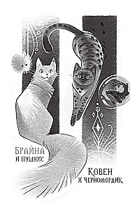 Kāslkotca muiža. Miglu laiks