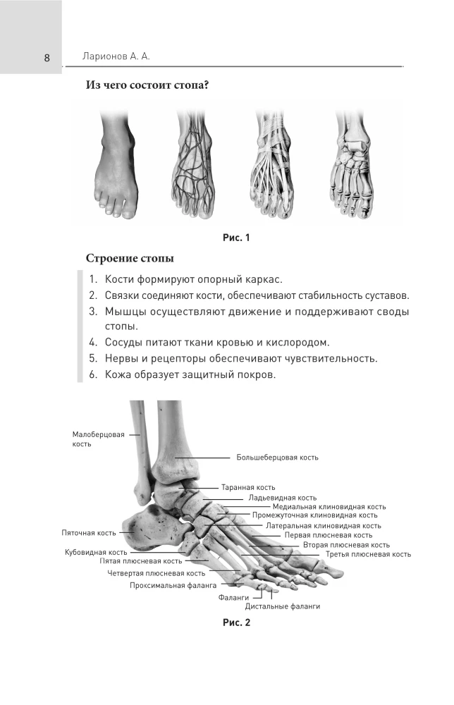 Feet Without Pain. All About Flatfoot, Bumps and More