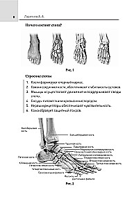 Feet Without Pain. All About Flatfoot, Bumps and More