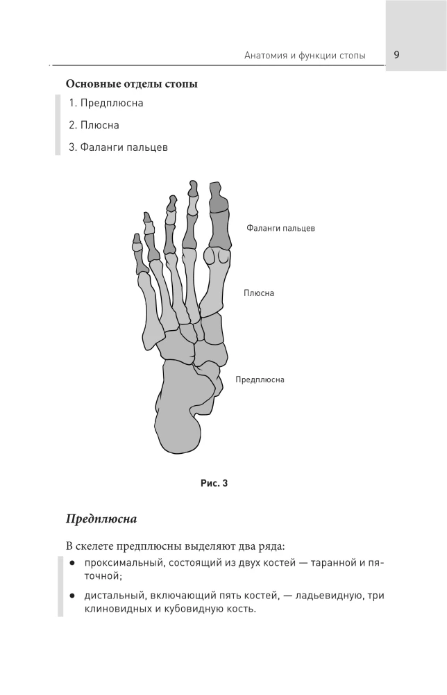 Feet Without Pain. All About Flatfoot, Bumps and More