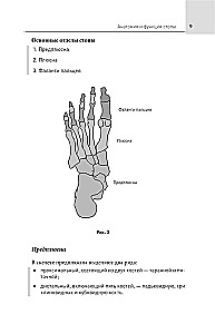 Feet Without Pain. All About Flatfoot, Bumps and More