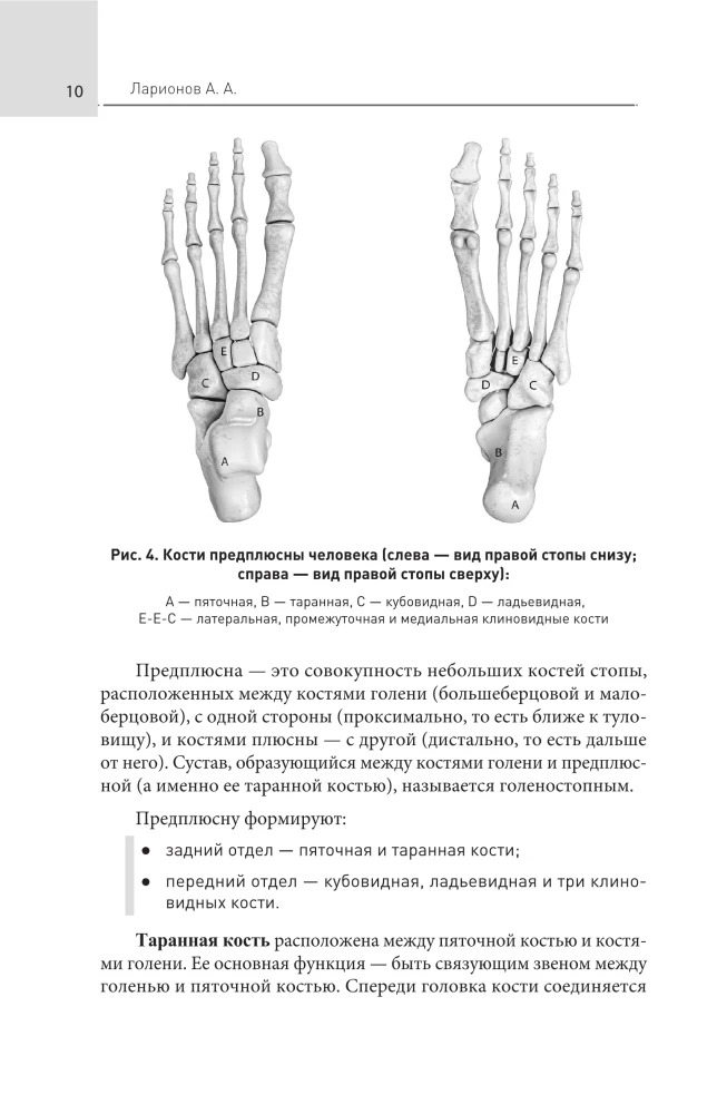 Feet Without Pain. All About Flatfoot, Bumps and More