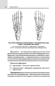 Feet Without Pain. All About Flatfoot, Bumps and More