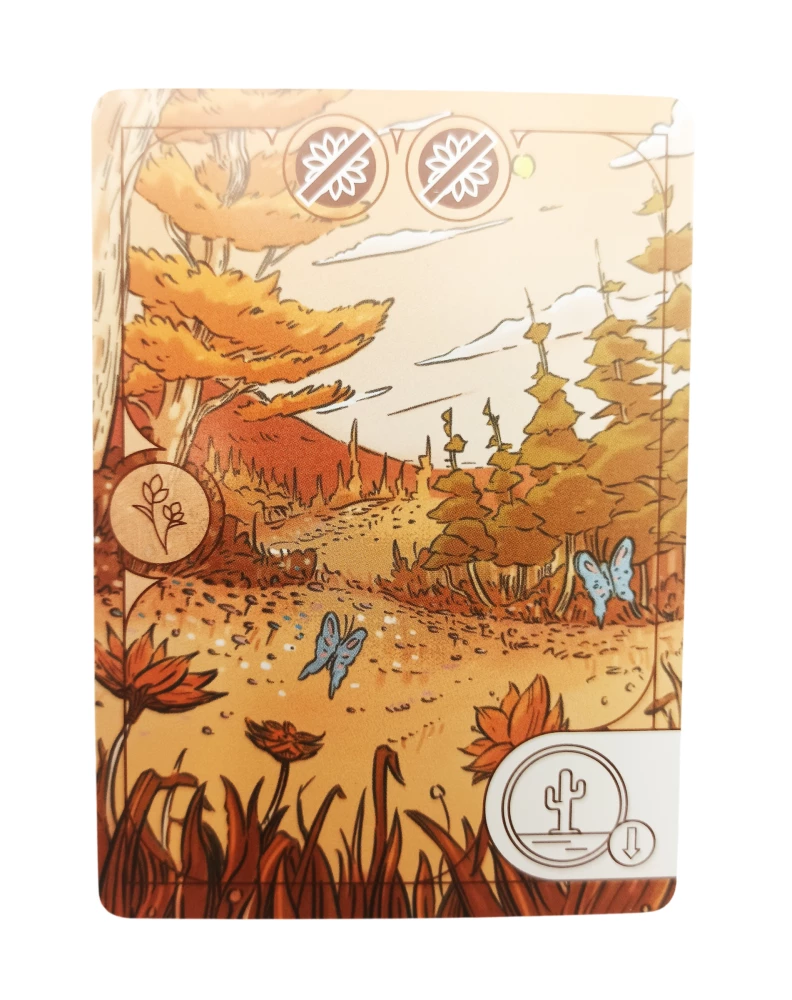 Board game - Evergreen. Pines and Cacti (expansion)