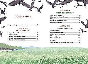 Магазин теней - Лунный свет. Книга 3. Тайна чёрных птиц