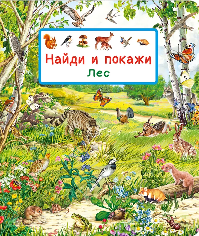 Find and Show. The Forest