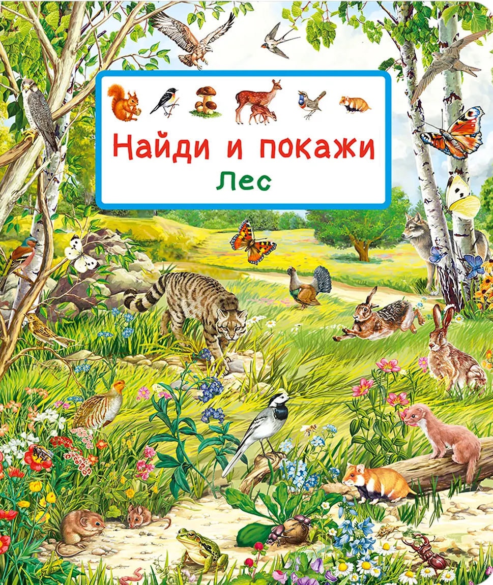 Найди и покажи. Лес