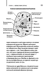 Anatoomia. Inimese paljastamine