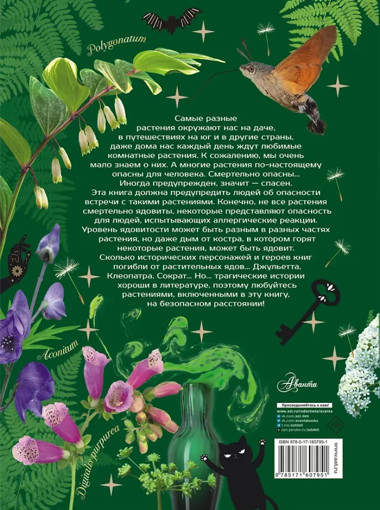 Dangerous Plants. From Poisonous to Allergenic