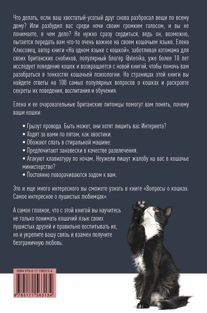 Pytania o kotach. Najciekawsze o futrzastych ulubieńcach