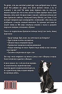 Pytania o kotach. Najciekawsze o futrzastych ulubieńcach
