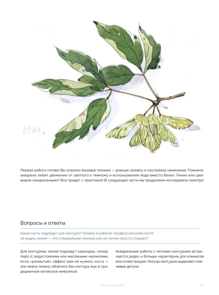 Akvarellmaal. Kätkete joonistamise õppetunnid Aasia illustraatoritelt