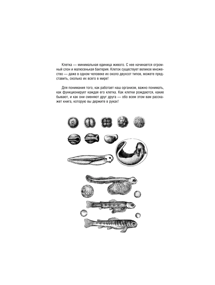 Cell Structure. Atlas-Coloring Book