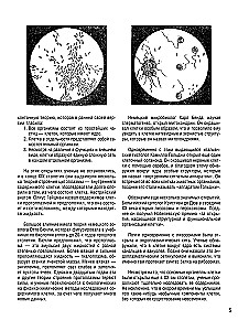 Cell Structure. Atlas-Coloring Book
