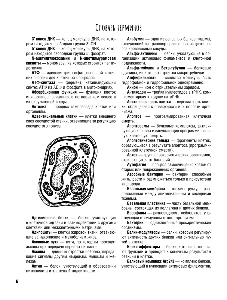 Cell Structure. Atlas-Coloring Book