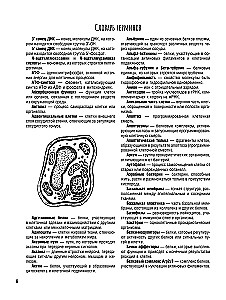 Cell Structure. Atlas-Coloring Book