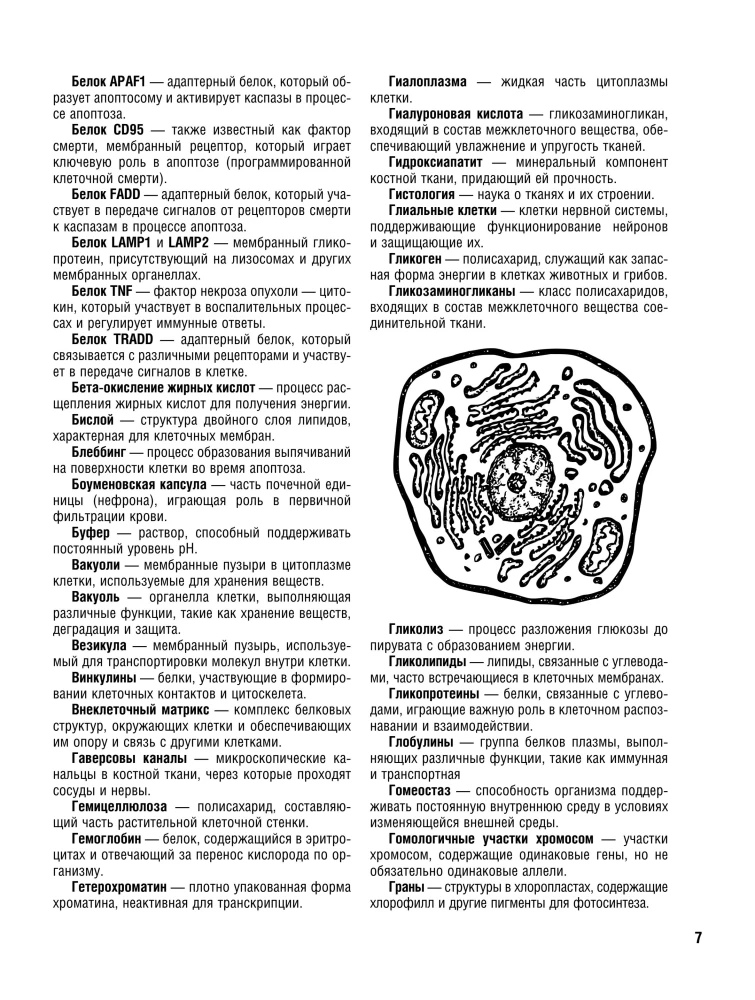 Cell Structure. Atlas-Coloring Book