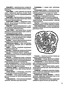 Cell Structure. Atlas-Coloring Book