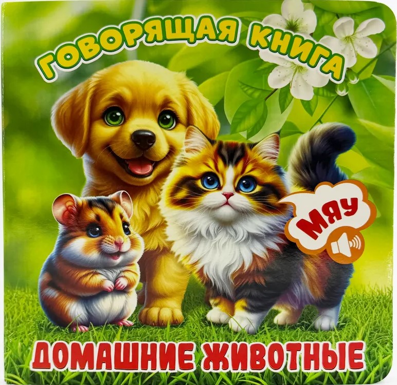 Pets
