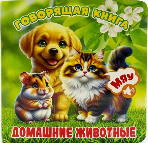 Pets