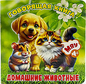 Pets