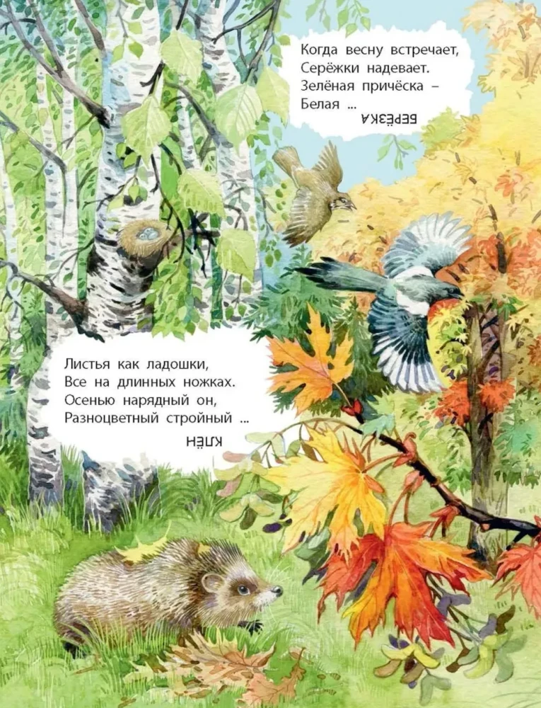 Was finden wir mit dir im Wald? Rätselverse